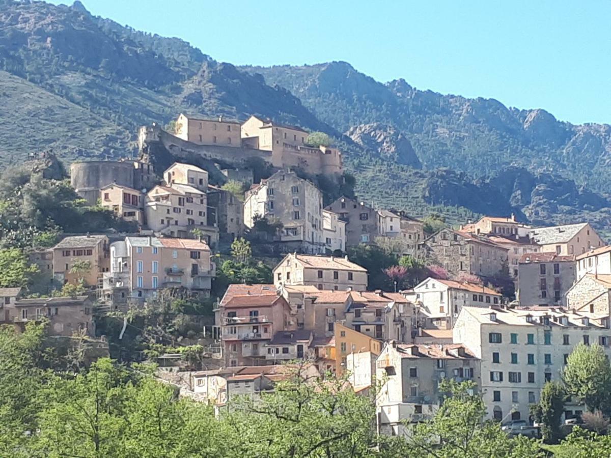 Charmant Studio Dans Residence Neuve Et Calme Corte (Corsica) Exterior foto